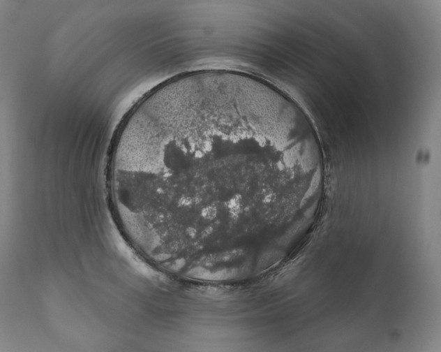 X0000110700995200907101217