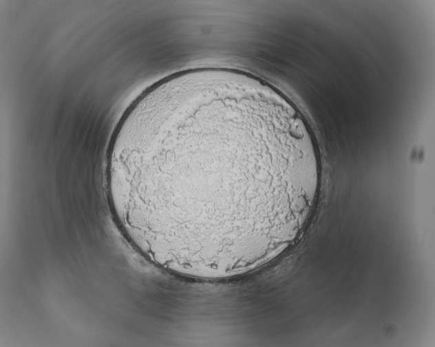 X0000110700996200907101217