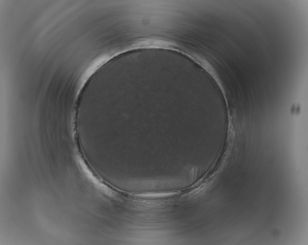 X0000110700997200907101217