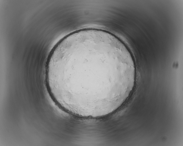 X0000110700999200907101217