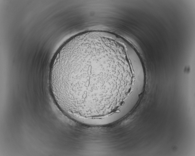 X0000110701000200907101217