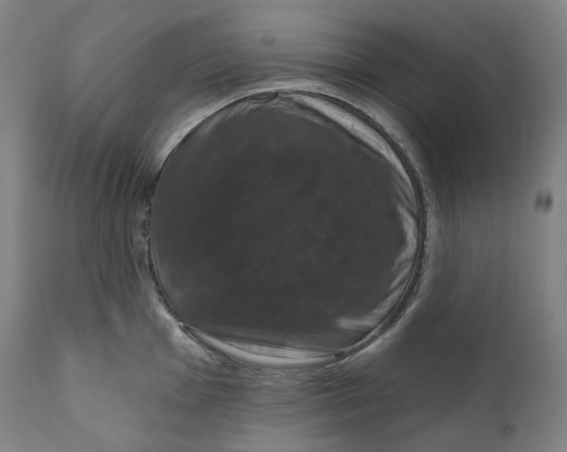 X0000110701001200907101217