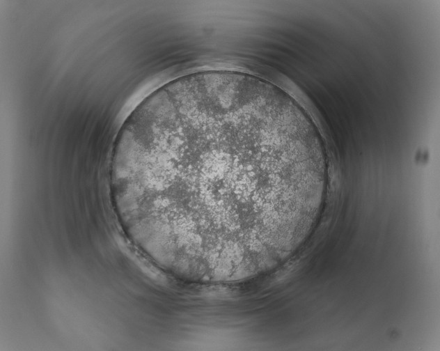 X0000110701002200907101217