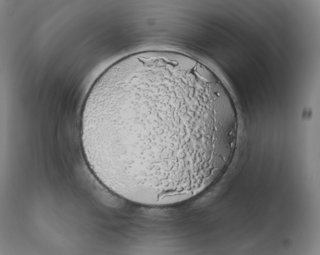X0000110701004200907101216
