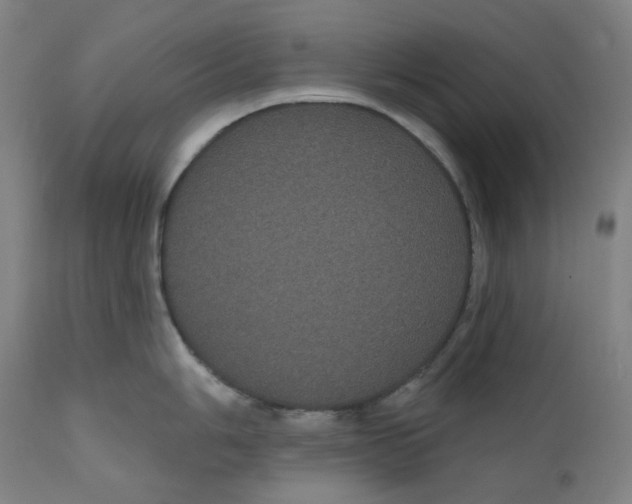 X0000110701006200907101216