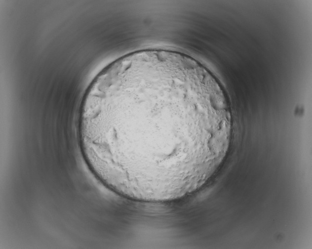 X0000110701007200907101216