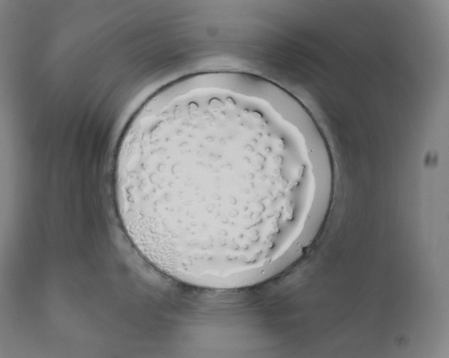 X0000110701008200907101216