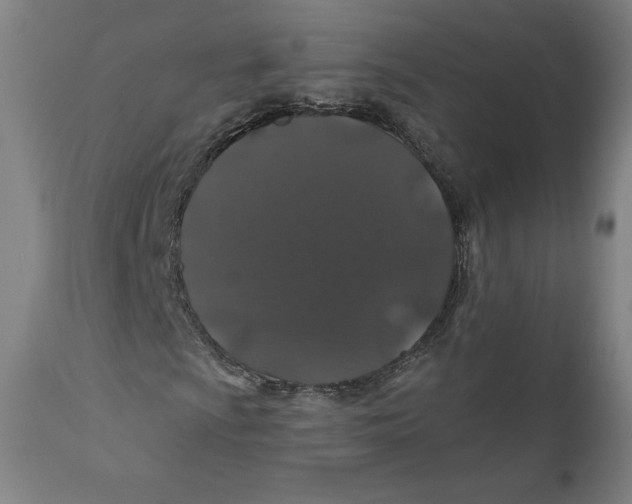 X0000110701009200907101216