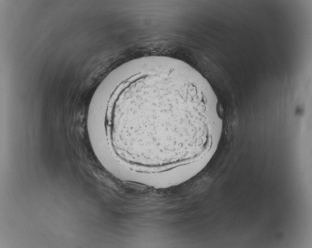 X0000110701010200907101216