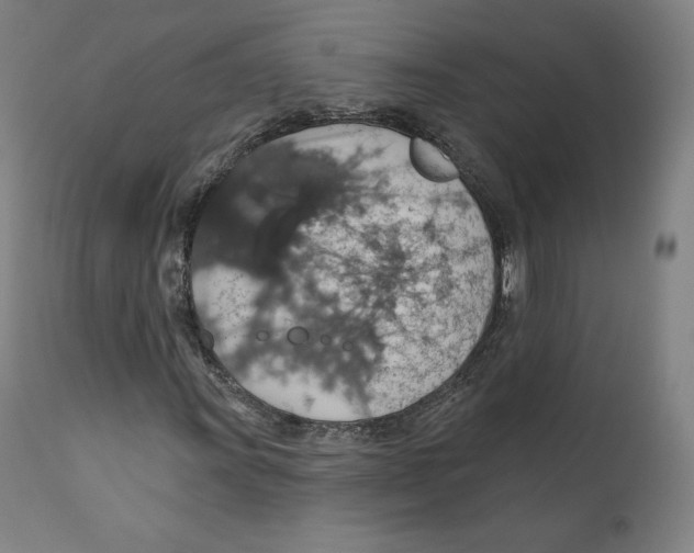 X0000110701011200907101216