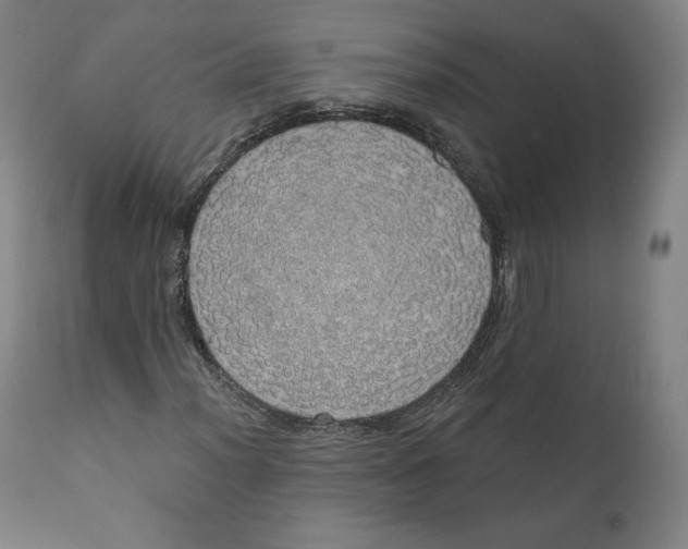 X0000110701012200907101216