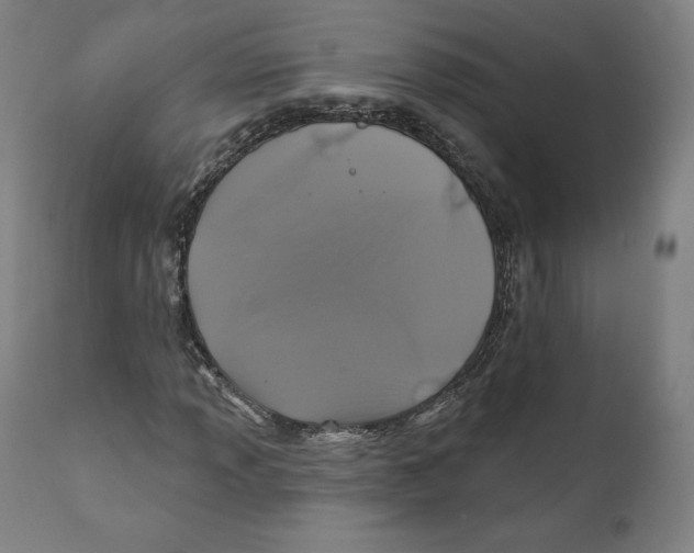 X0000110701013200907101216