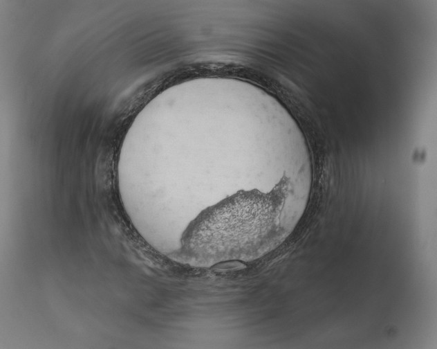 X0000110701014200907101216
