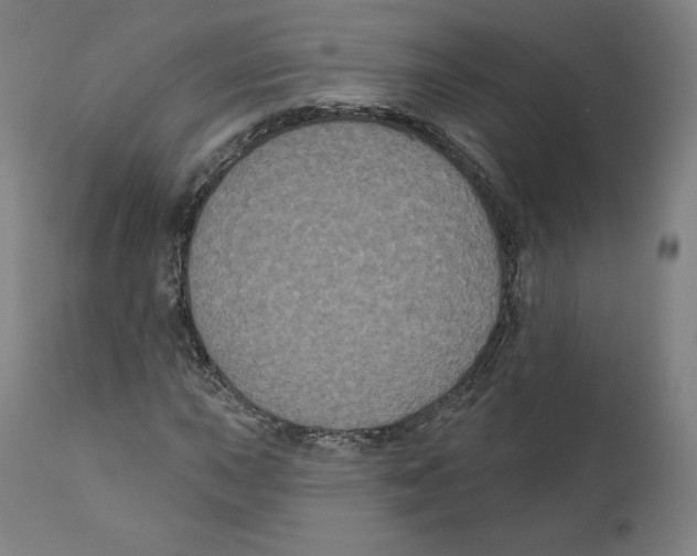 X0000110701015200907101216
