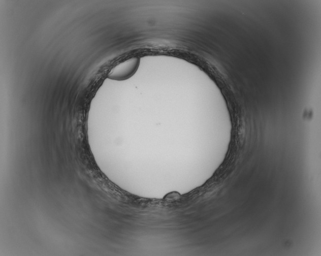 X0000110701016200907101216