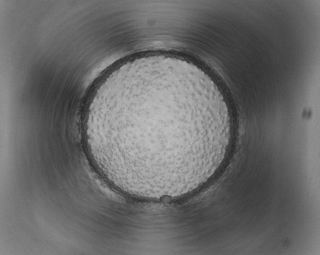 X0000110701018200907101216