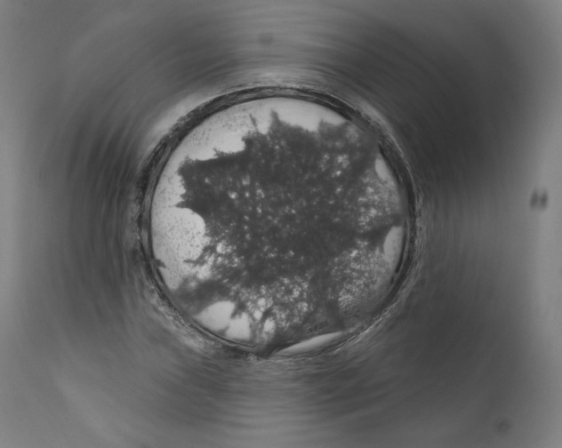 X0000110701019200907101216