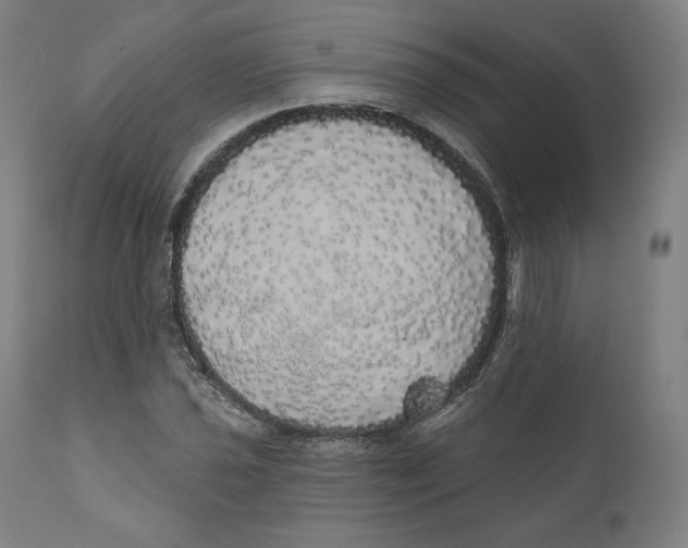 X0000110701021200907101216
