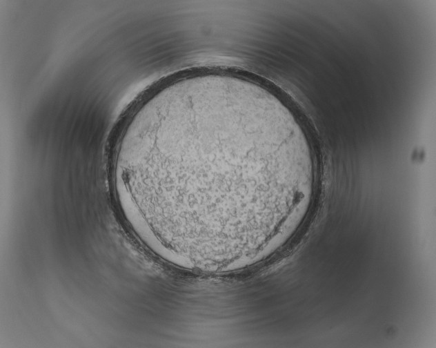 X0000110701022200907101216