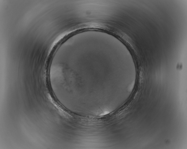 X0000110701024200907101216