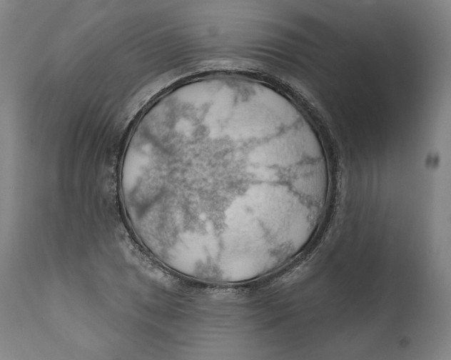 X0000110701025200907101216