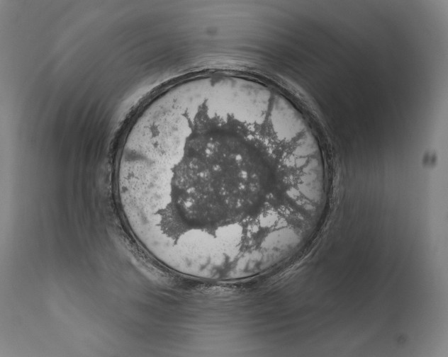 X0000110701027200907101216