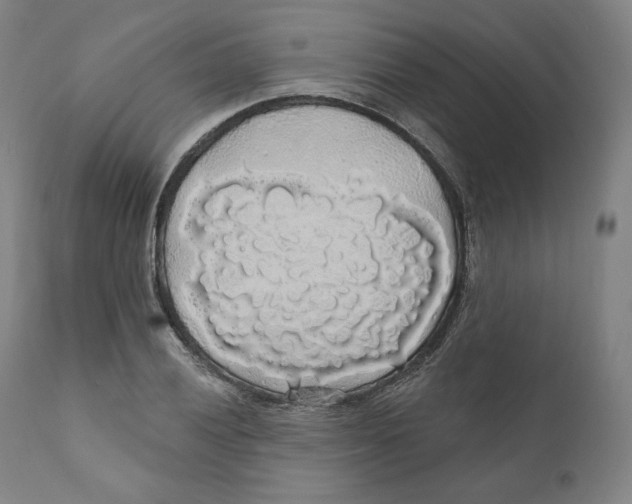 X0000110701028200907101216