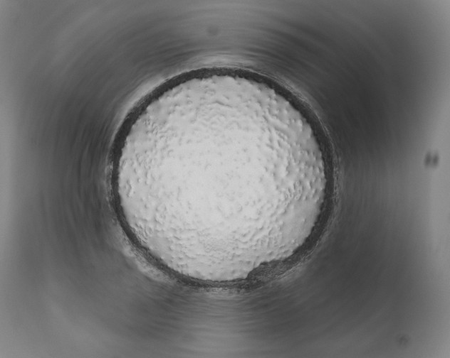 X0000110701029200907101216