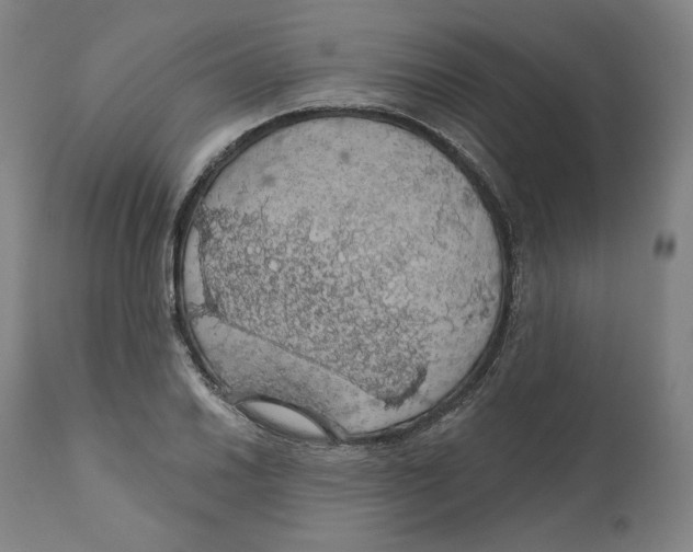 X0000110701030200907101216