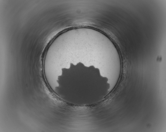 X0000110701031200907101216