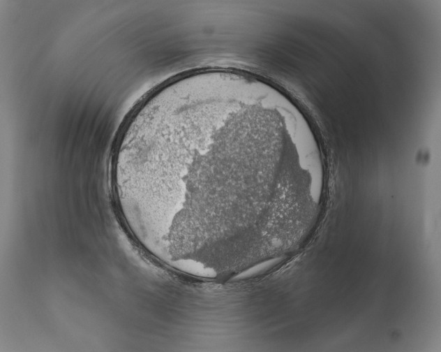 X0000110701032200907101216