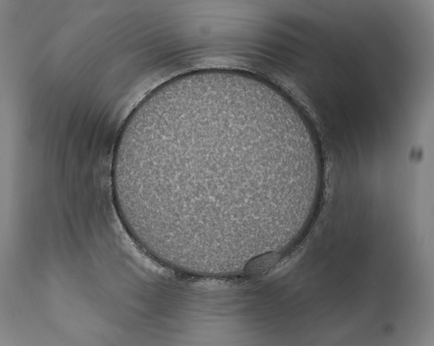 X0000110701033200907101216