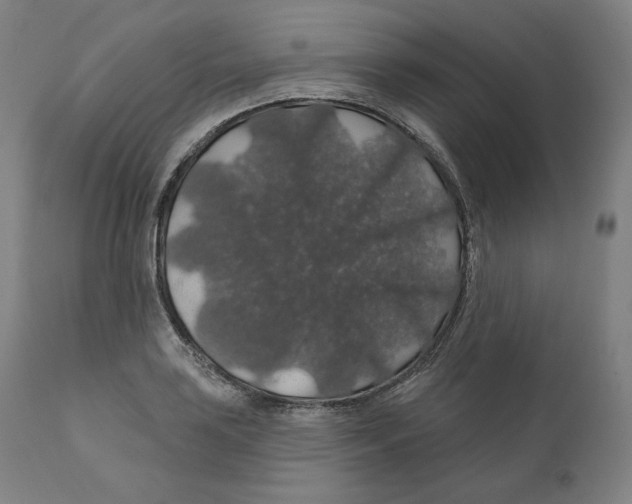 X0000110701035200907101216