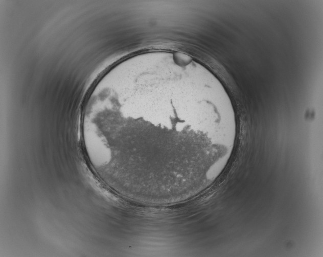 X0000110701036200907101216