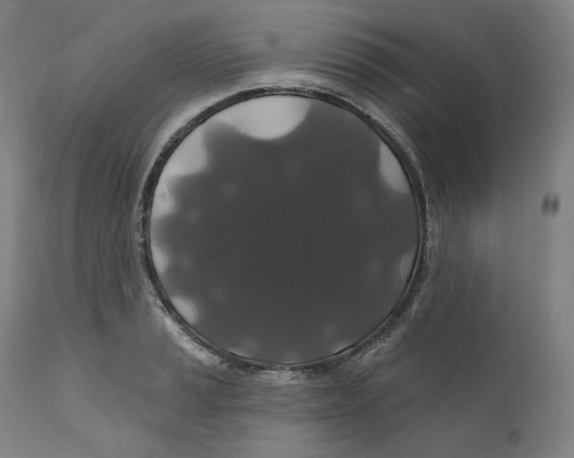 X0000110701037200907101216