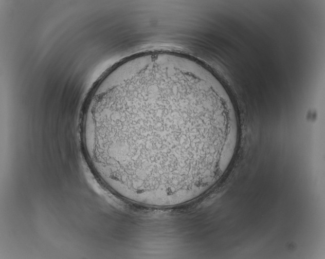 X0000110701038200907101216