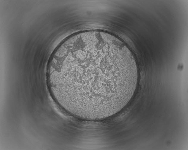 X0000110701039200907101216