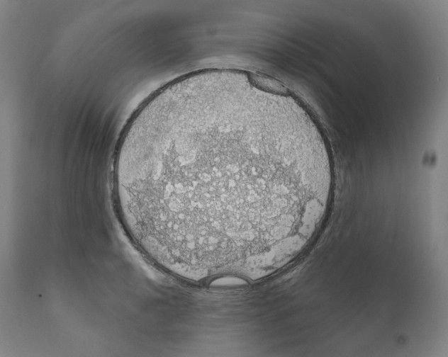 X0000110701040200907101216