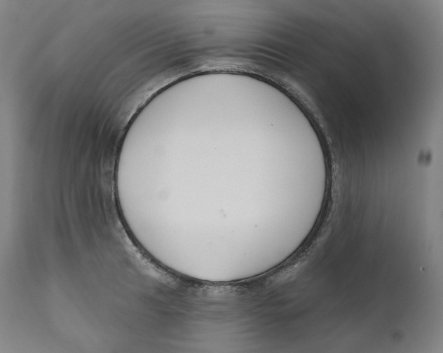 X0000110701041200907101216