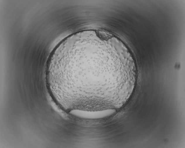 X0000110701042200907101216