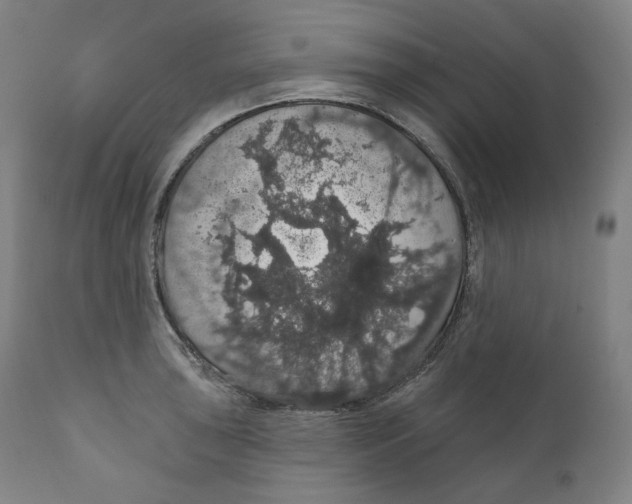 X0000110701043200907101216