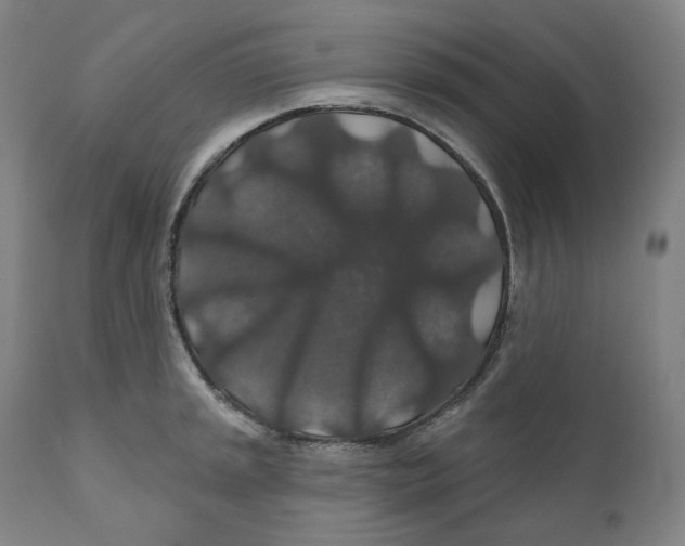 X0000110701045200907101216