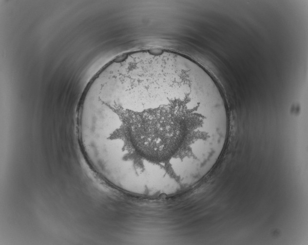 X0000110701047200907101216
