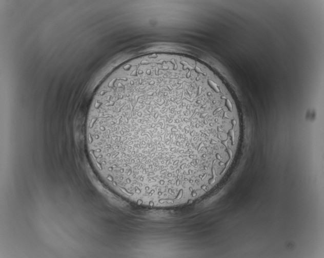 X0000110701049200907101216
