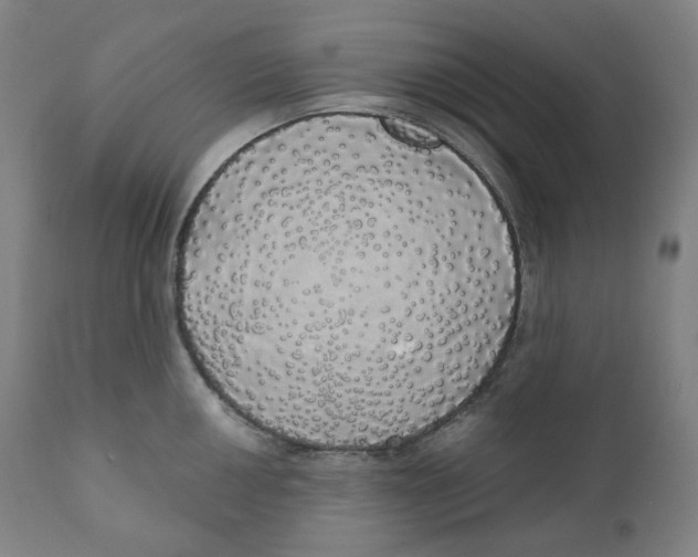 X0000110701050200907101216