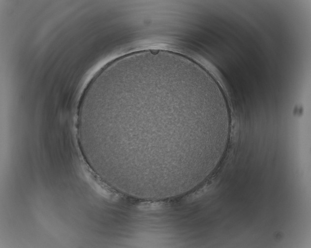 X0000110701051200907101216