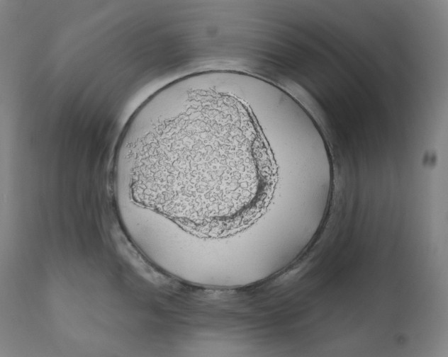 X0000110701052200907101216