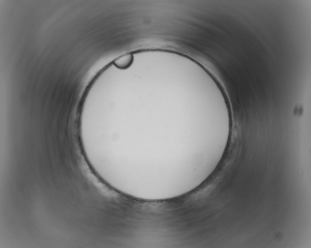 X0000110701053200907101216