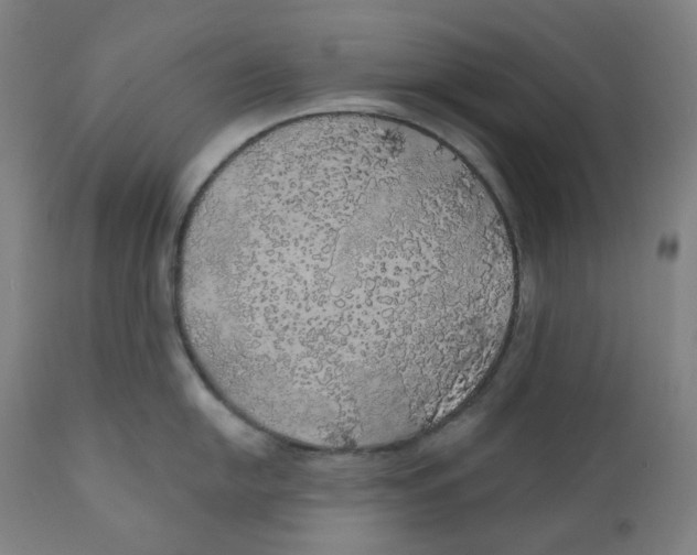X0000110701054200907101216