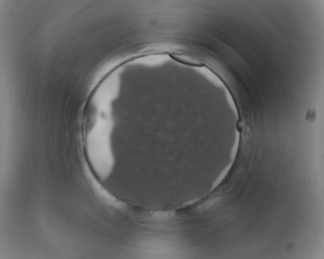 X0000110701055200907101216